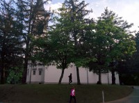 /album/galleria-foto-chiesa/img-20140412-185516-jpg1/